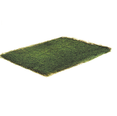 Duralast F125 Hogs Hair Natural Fiber Filter (12 per Carton) 1" x 25" x 30"